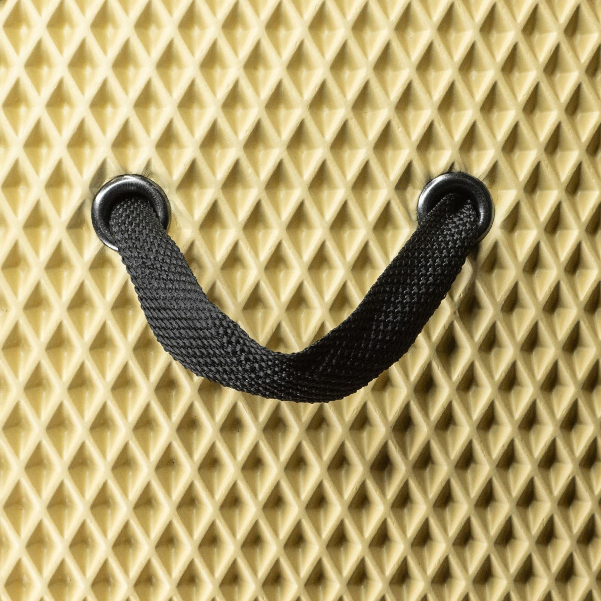 EVAtech pagasiruumi korraldaja PRO M 32x50x30 cm - beež / mustad servad EVAtech pagasiruumi korraldaja PRO M 32x50x30 cm - beež / mustad servad