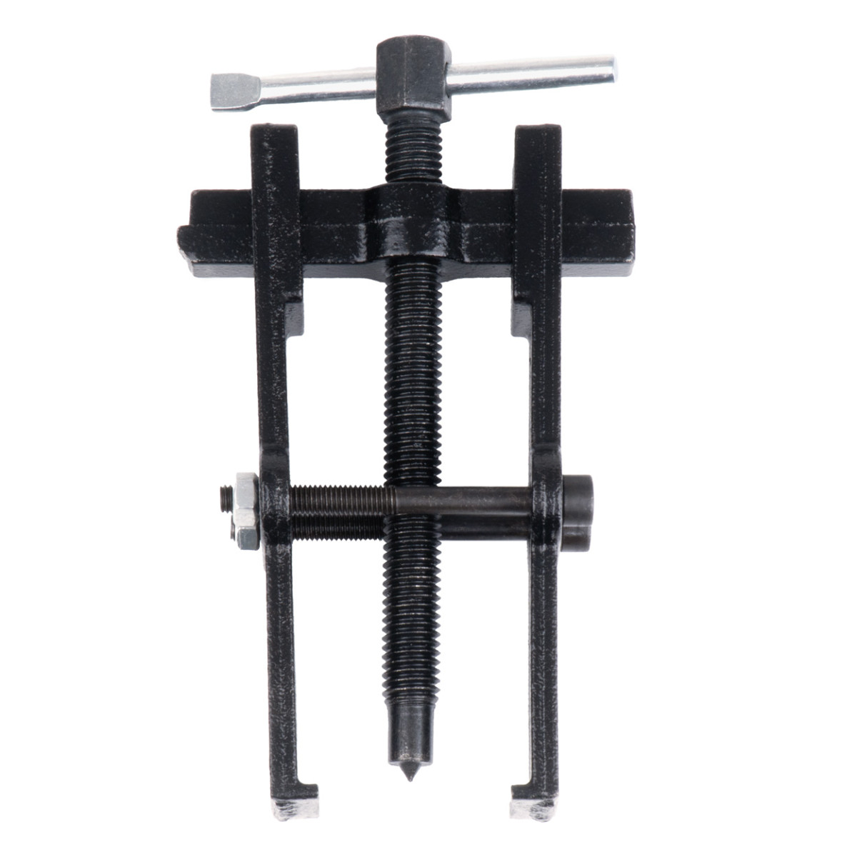 Pumba rihmaratta tõmmits AMIO-04754